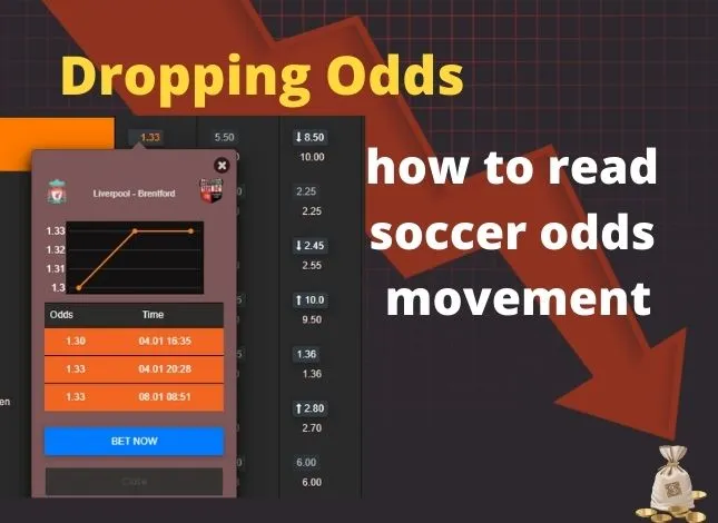 How to Read Odds, How to Bet